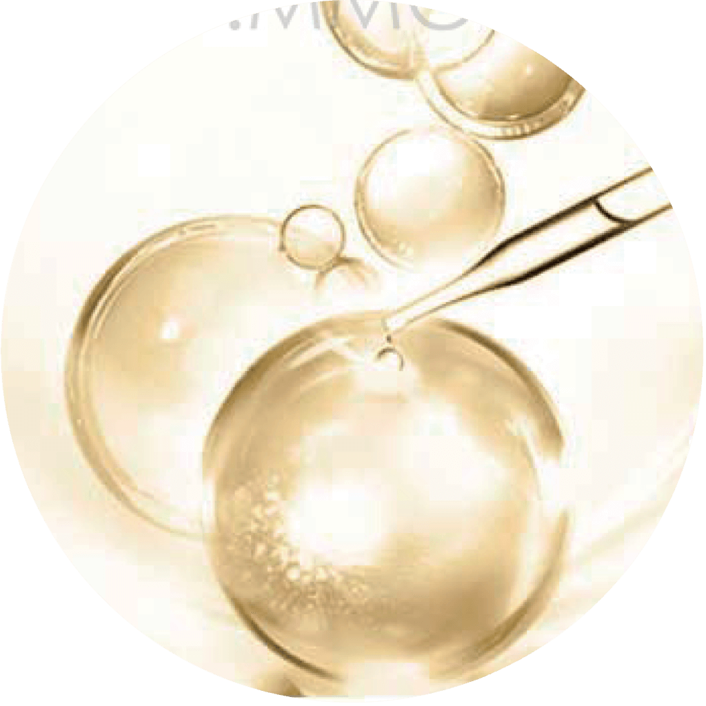 Ingredient 01