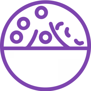 0000